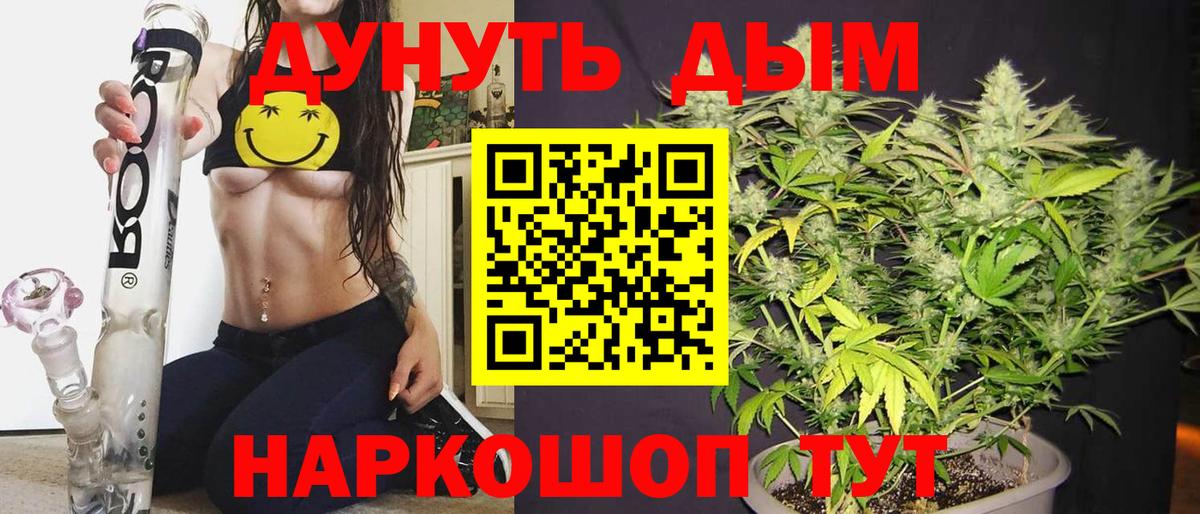 Каннабис сатива Родники